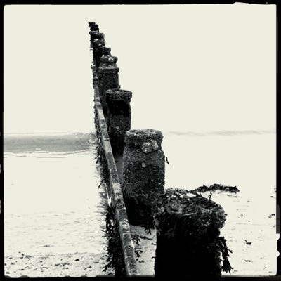 Frinton on Sea Groynes (photo)