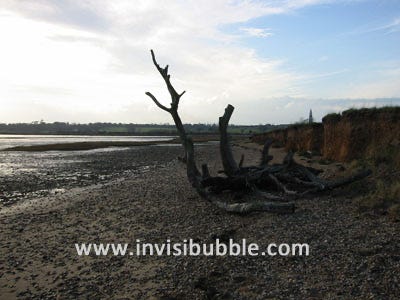 Holbrook Bay III