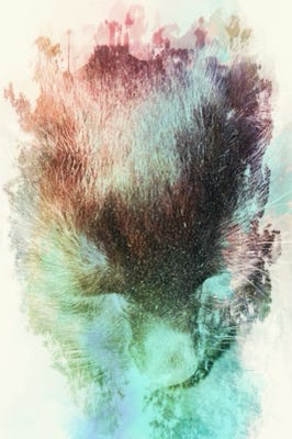 Sparkle Colours (photo)