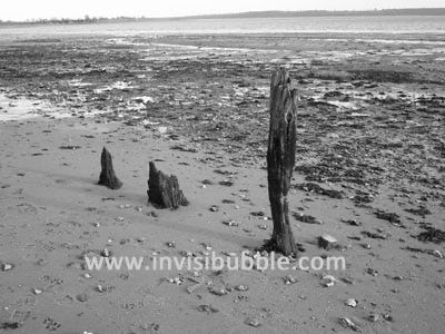 Holbrook Bay II